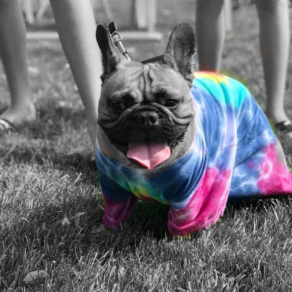 Meet your Posher, Tracy - Picture 14 of 15